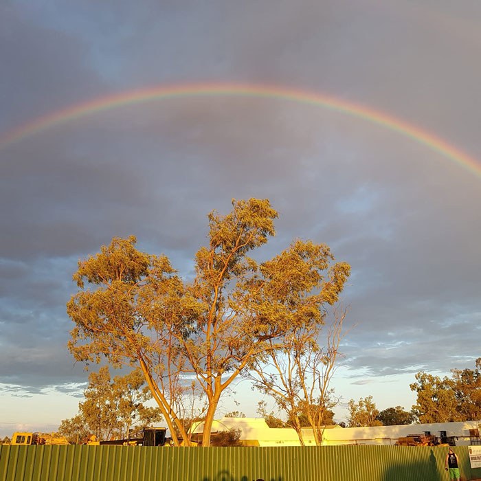Sunlight hitting the gum trees perfectly, turning their leaves golden against the darker clouds and a full rainbow.